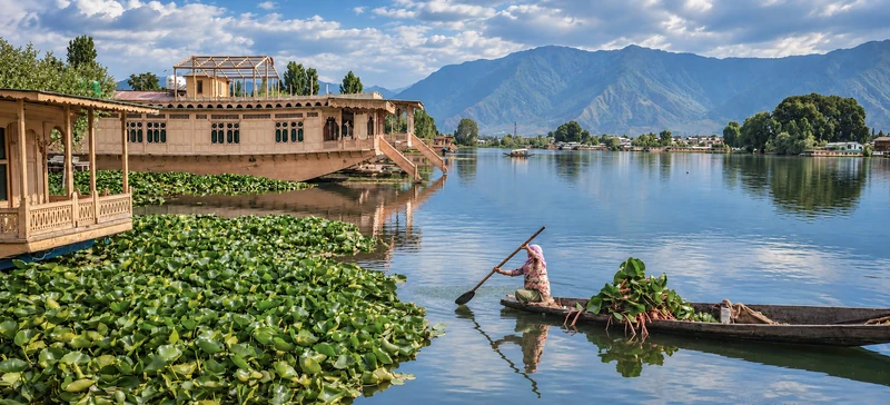Houseboats and a small boat beside floating lake vegetation