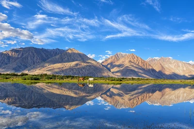 Ladakh mountains reflected in still water