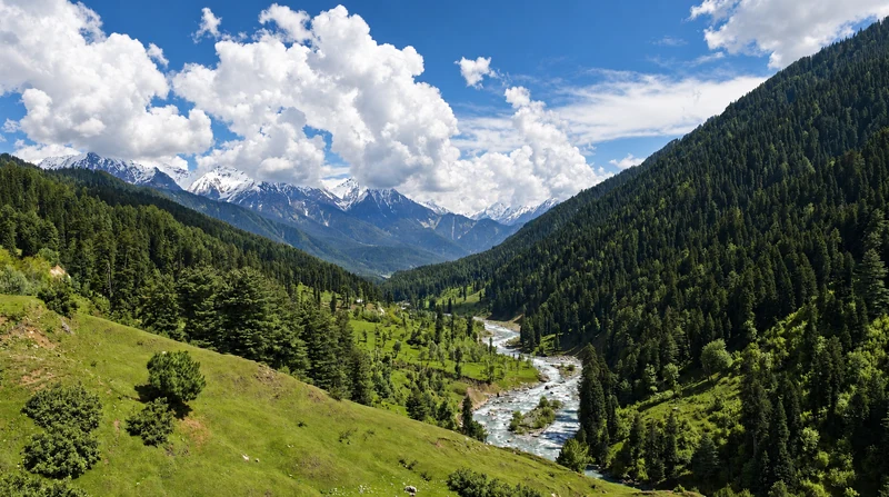 River winding through the forested Pahalgam valley