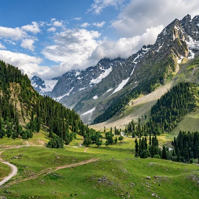 Green Sonamarg valley framed by steep mountain peaks