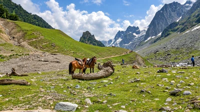 Saddled ponies beneath the mountain peaks at Sonamarg